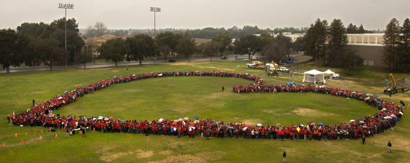 Heart formation, 2014