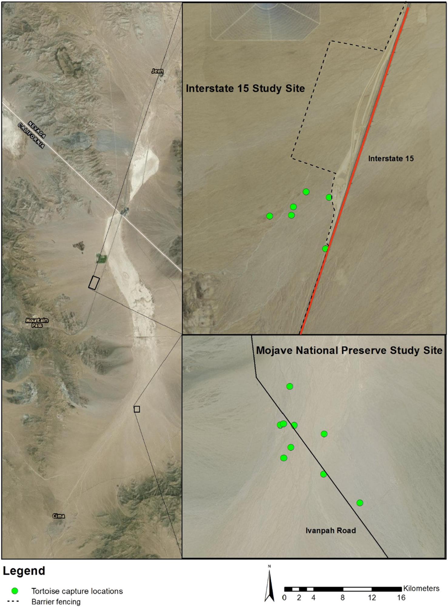 tortoise mojave map