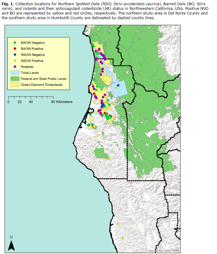 owl collection sites