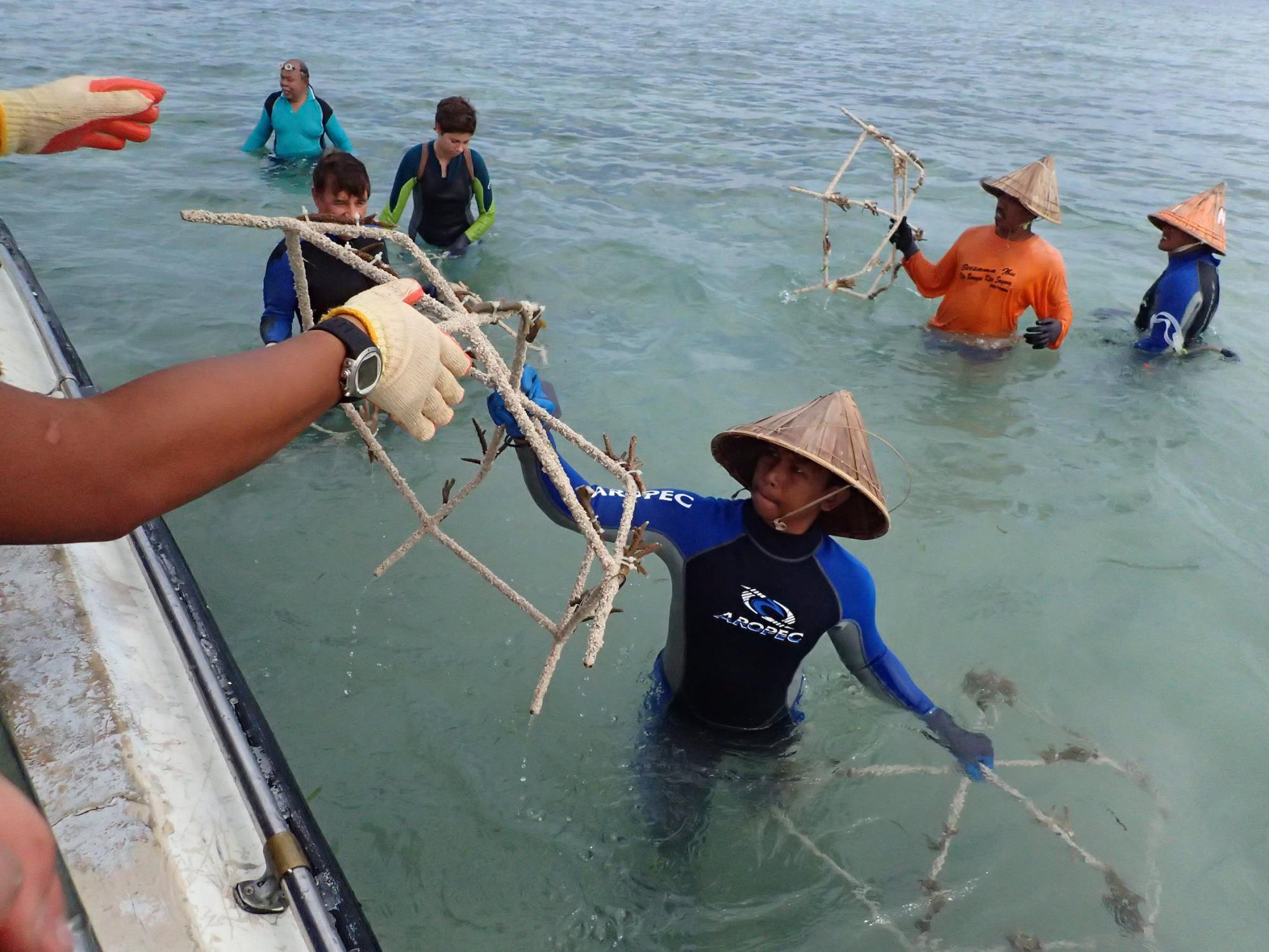 Indonesians help coral reef restoration project
