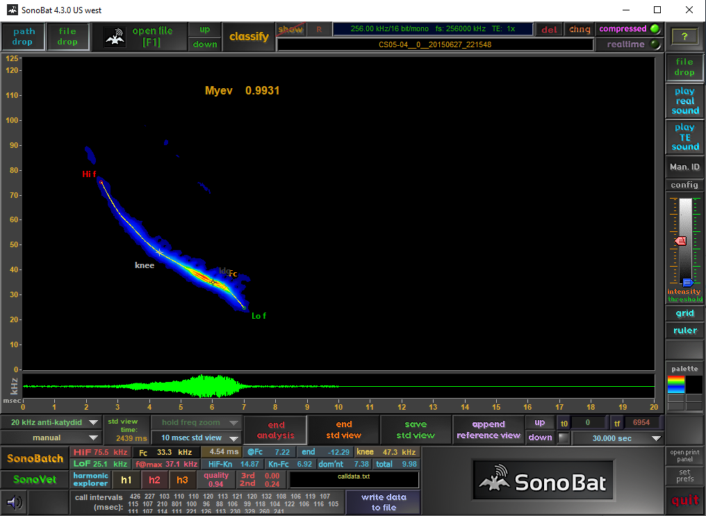 bat spectrogram