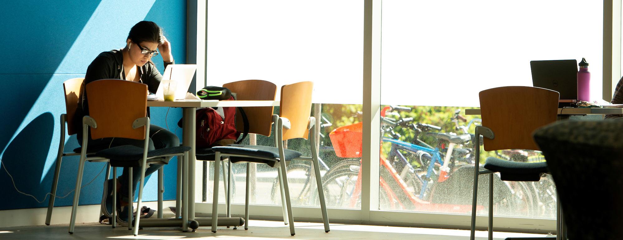 A student works on their laptop next to a bright window on the UC Davis campus