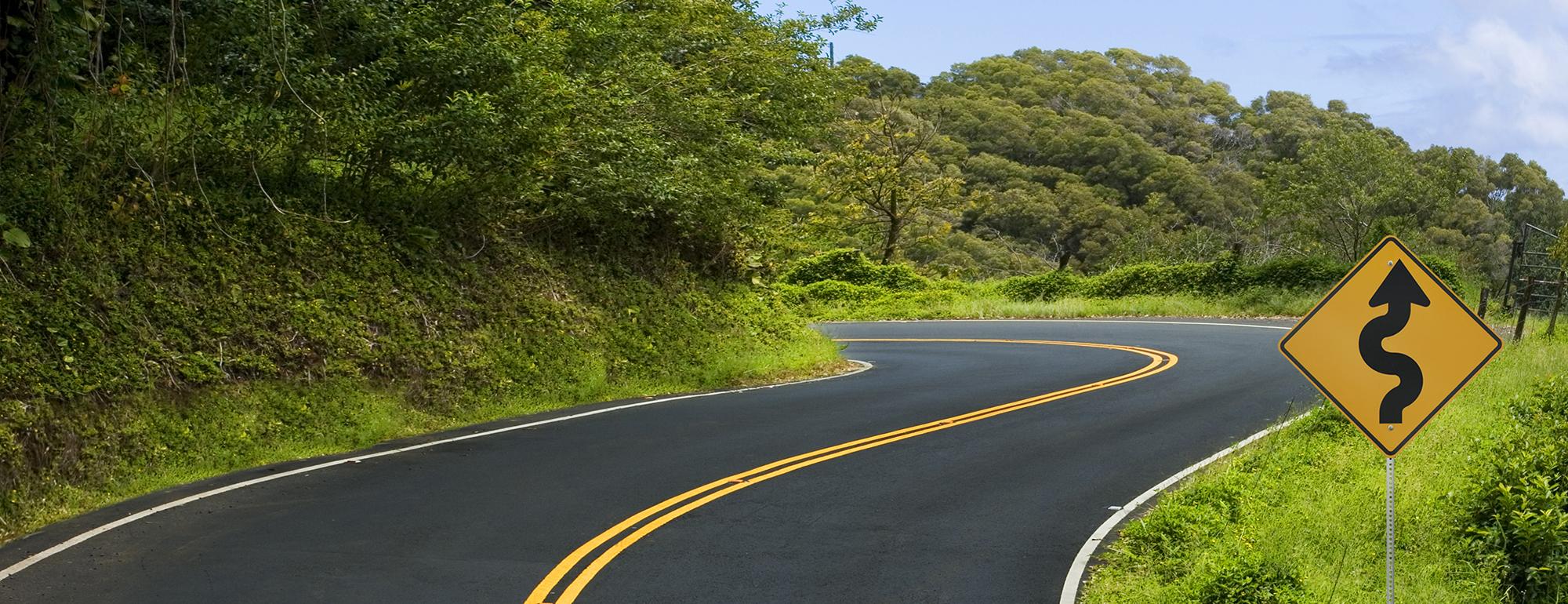 A twisting country road surrounded by green grass and trees