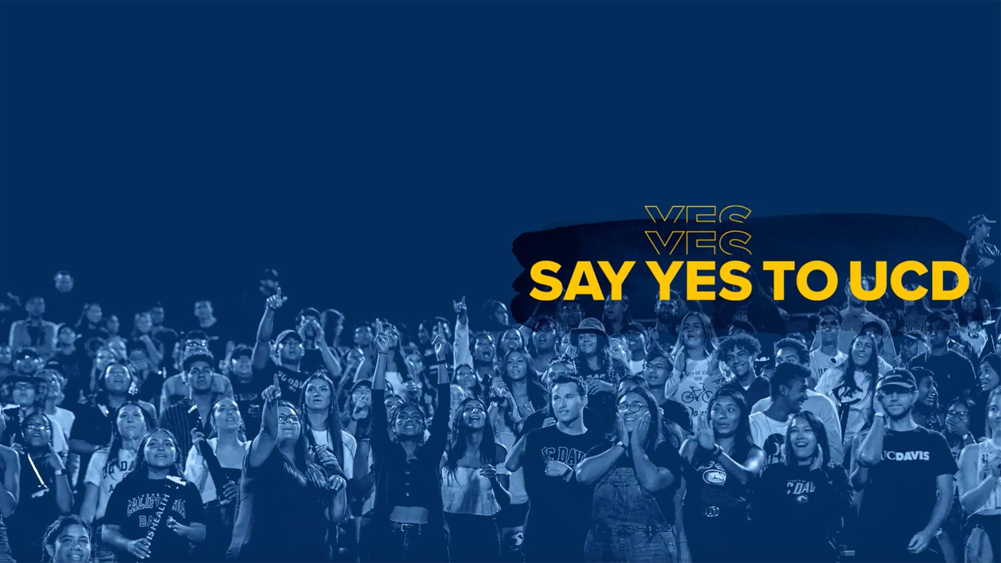 Say Yes to UCD graphic