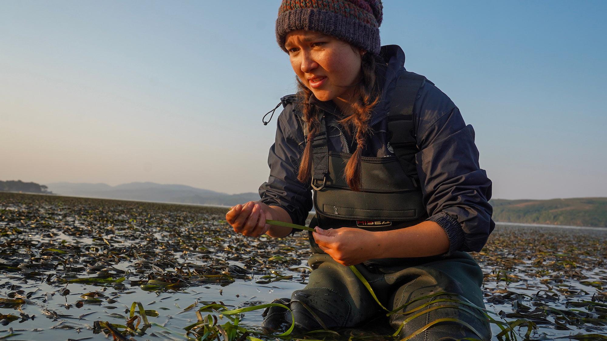 Person in photo kneeling in shallow tidal marsh at sunset, smiling while holding seaweed