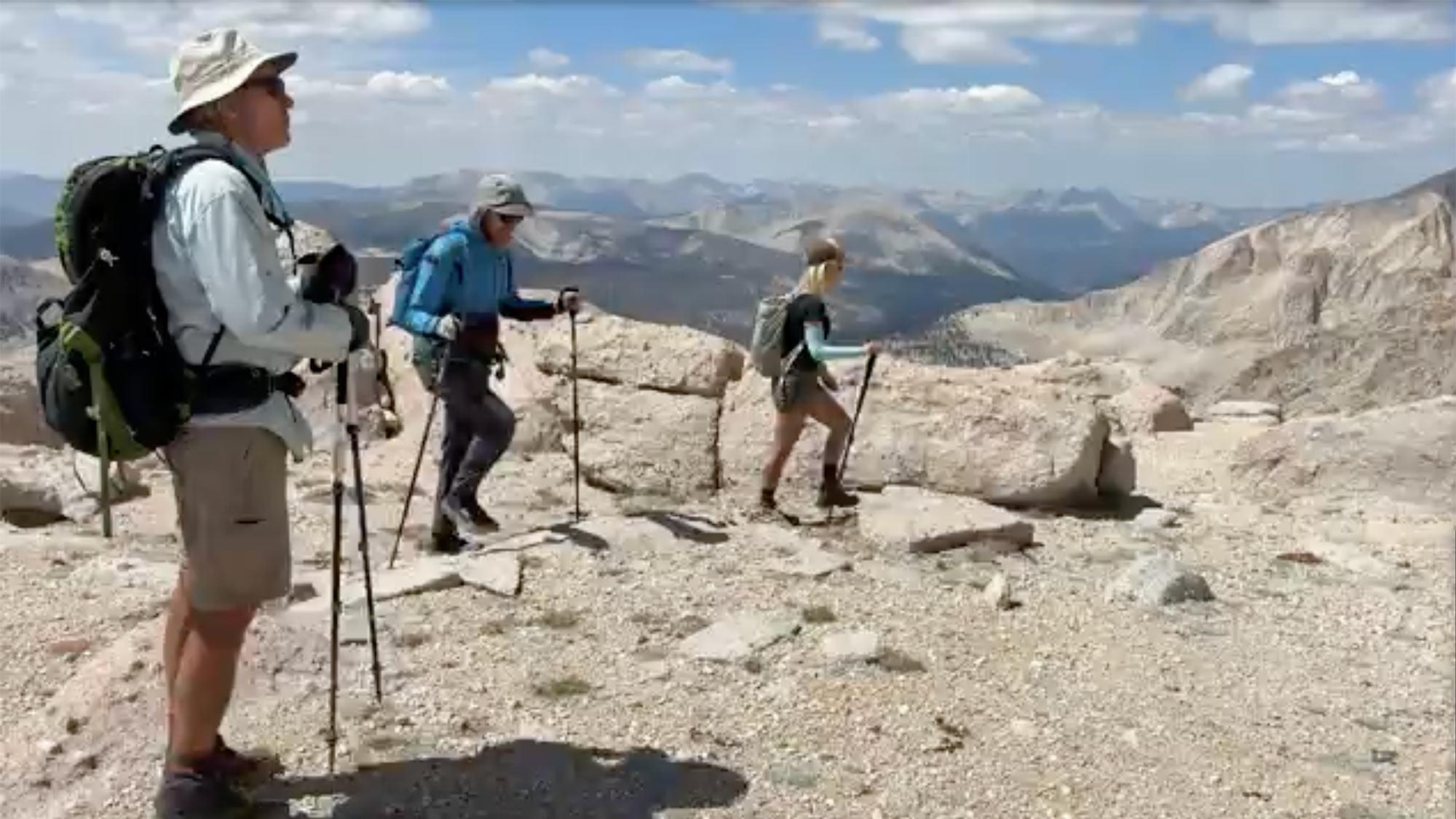 A group of people hiking in the high sierra searching for Jeffrey pines
