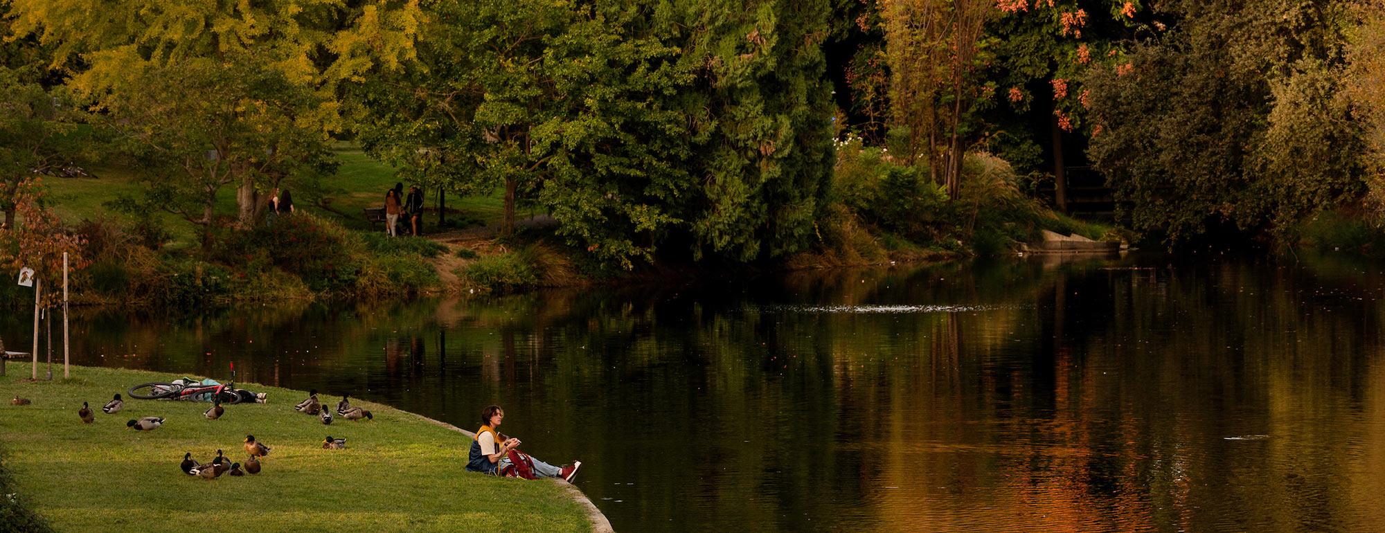 Autumn riverside park with golden trees reflected in water; people picnic on grassy bank