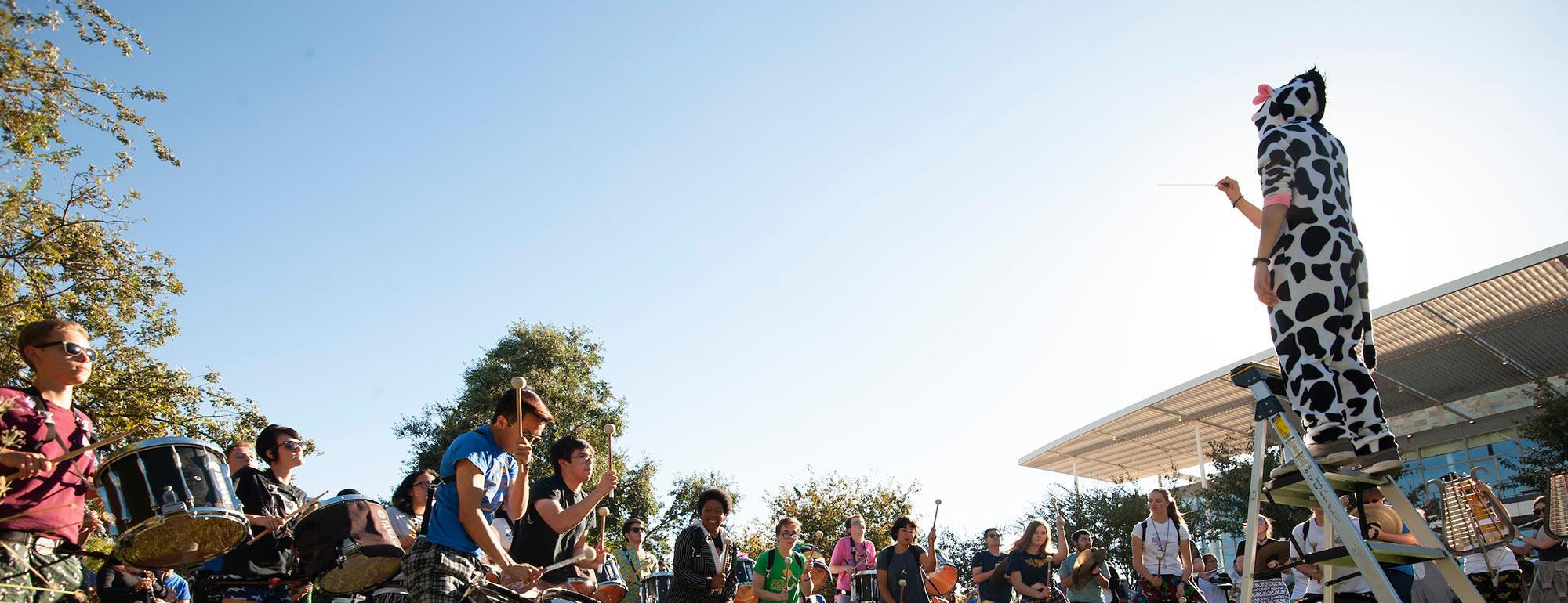 A UC Davis marching band member dressed in a cow suit leads the rest of the musicians
