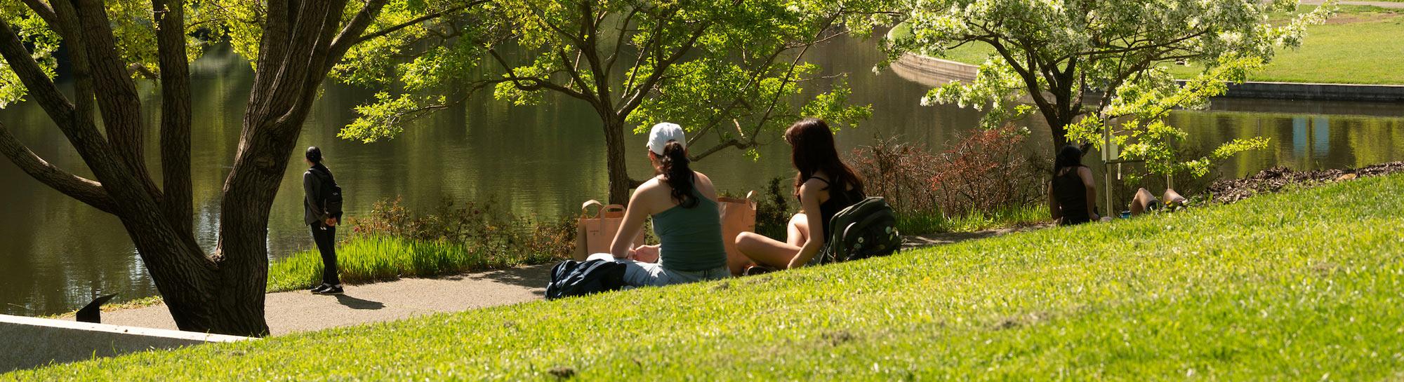 Two people sitting on a sunlit grassy slope beside a pond, trees and lawn behind them