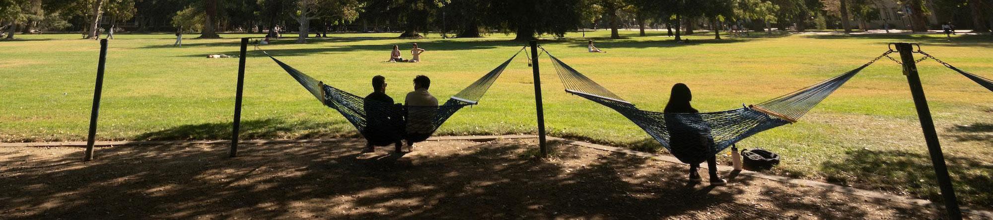 People lounging in hammocks between trees in a sunlit green park