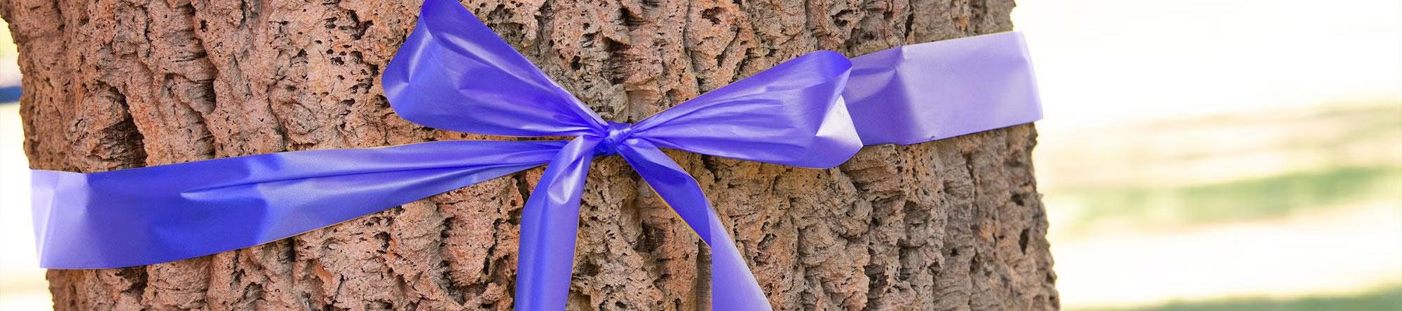 Tree trunk wrapped with a tied purple satin ribbon bow outdoors