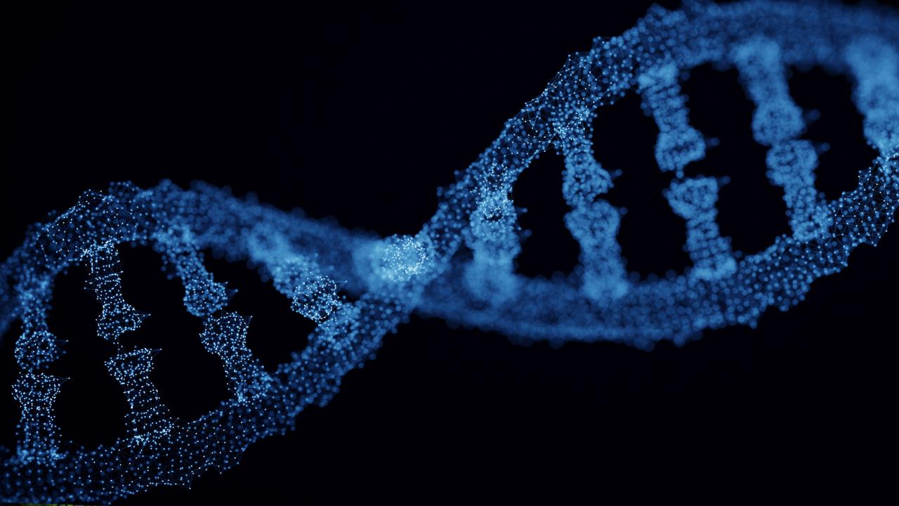 Image of DNA