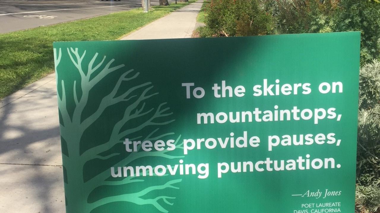 Arbor day poetry