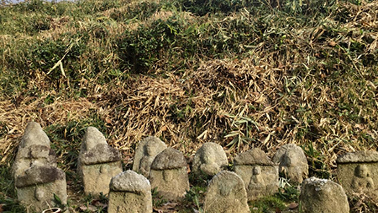 Buddha garden