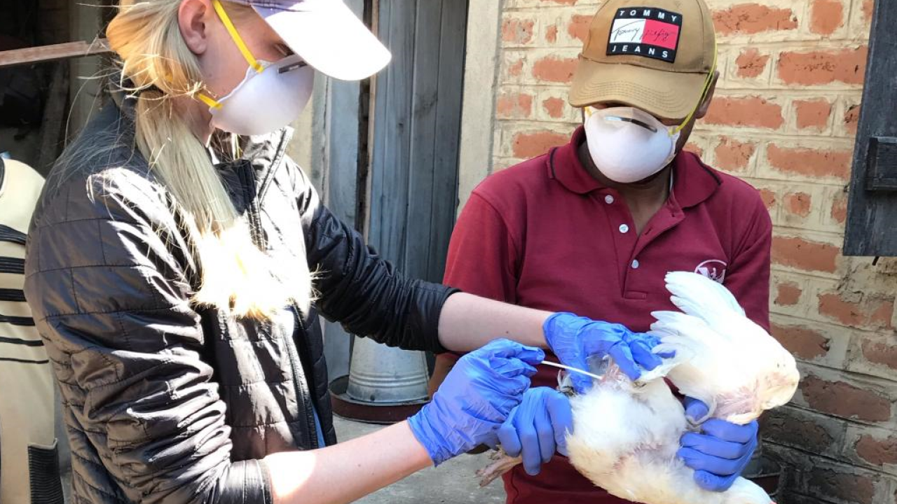 Cara Newberry sampling chicken 