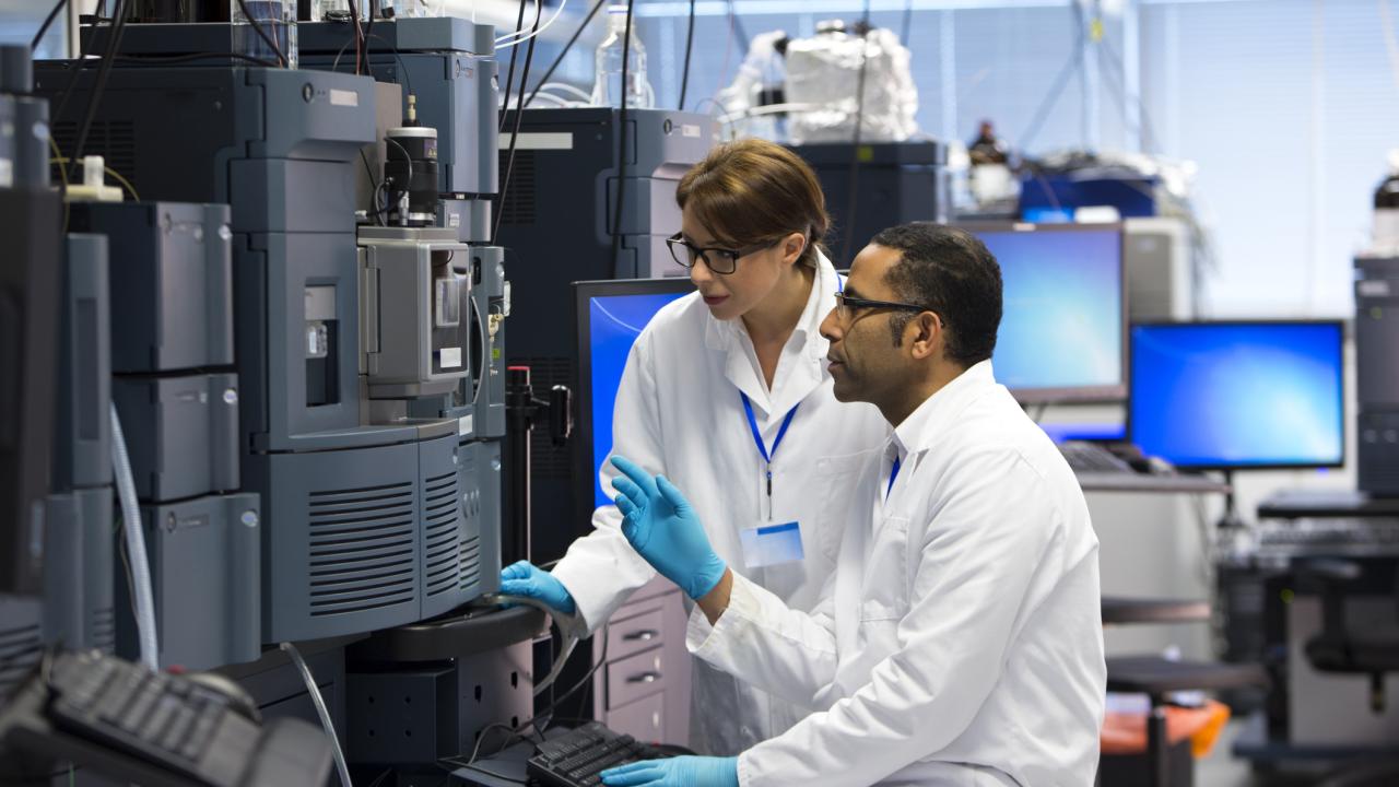 working in lab