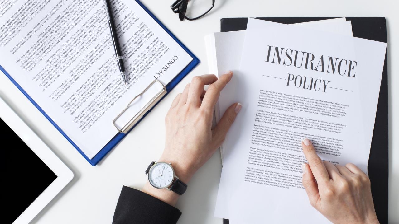 insurance policy