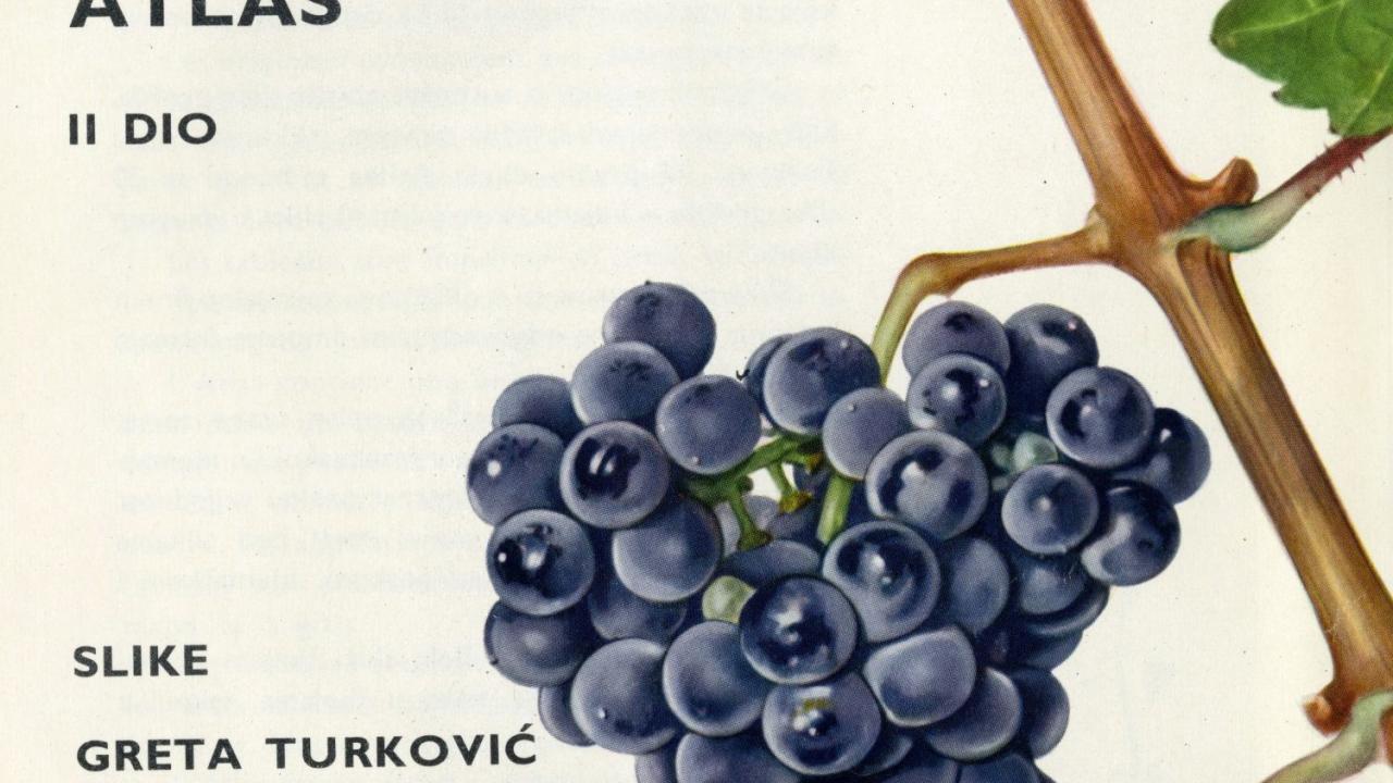 Wine label