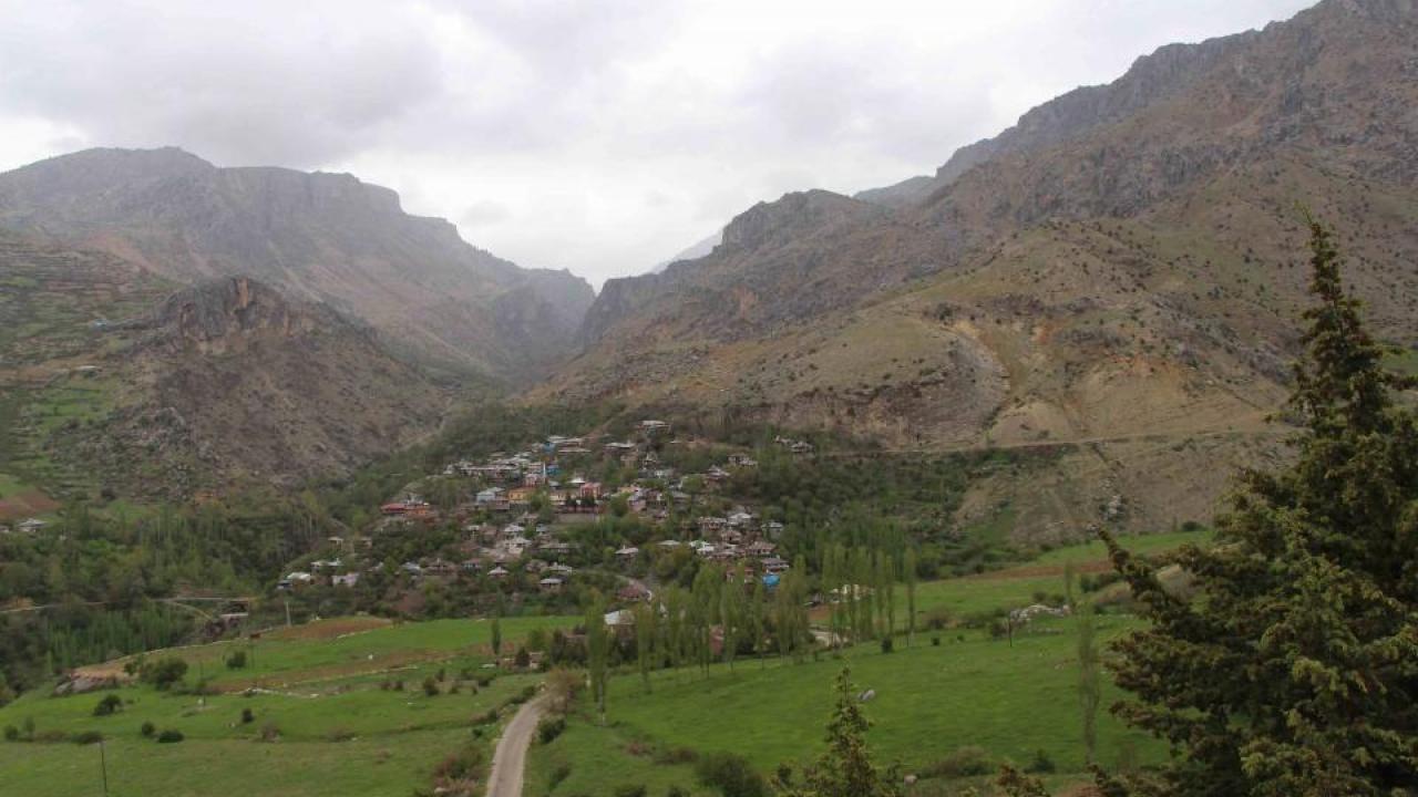 Zeytun scene
