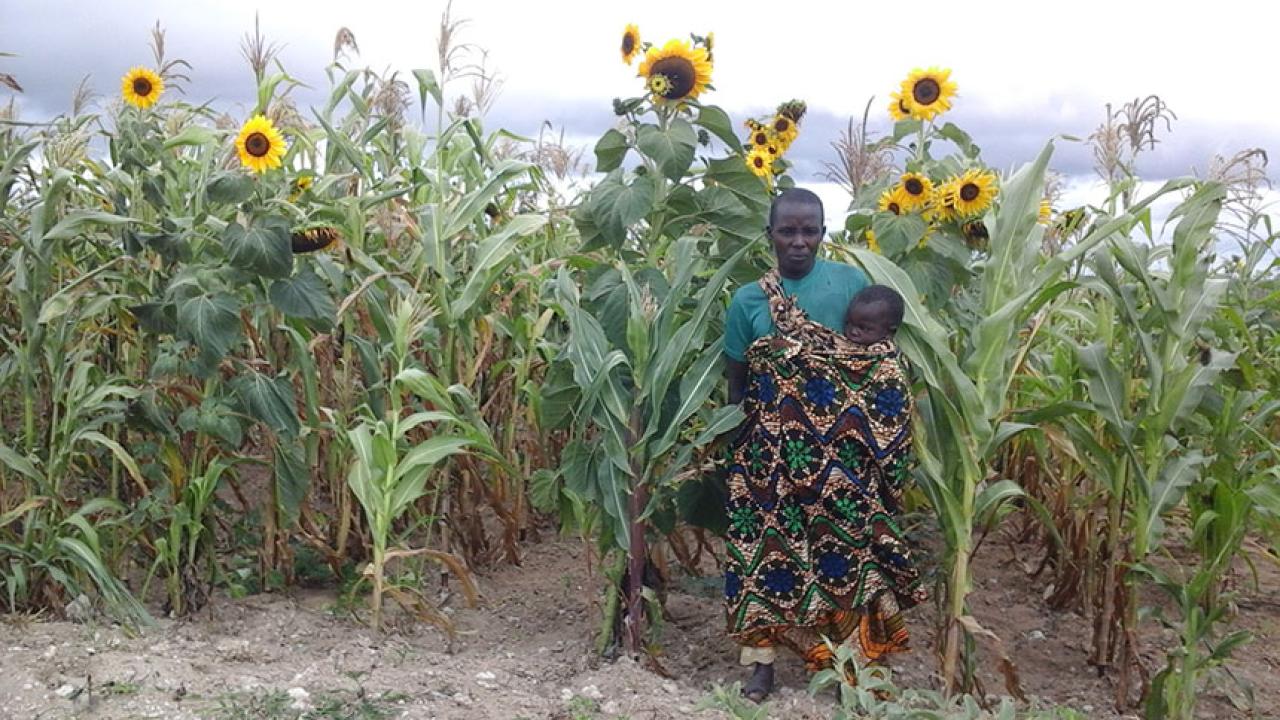 Farmer and child in field