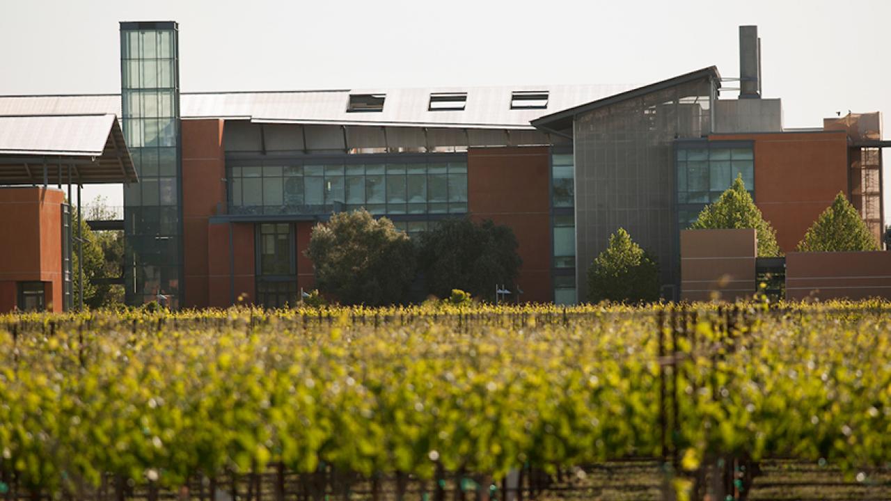 photo of Robert Mondavi Institute