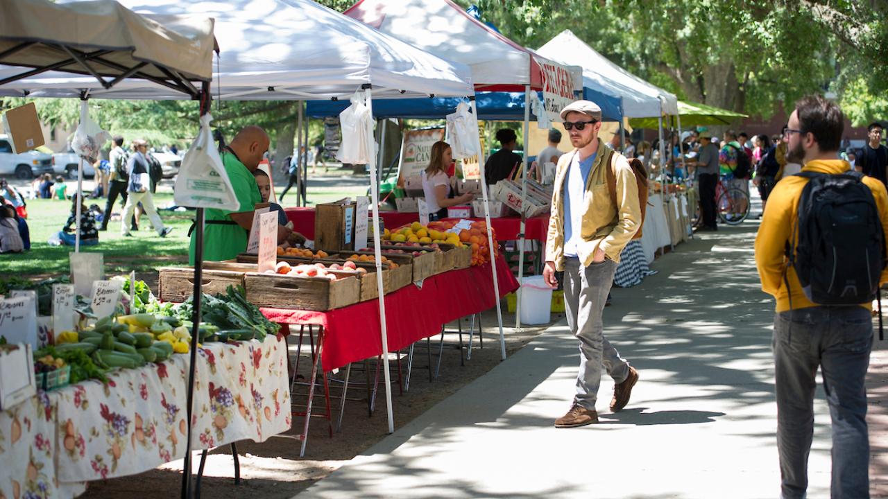 farmers market