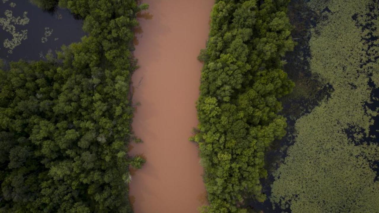 The Bad River in northern Wisconsin.