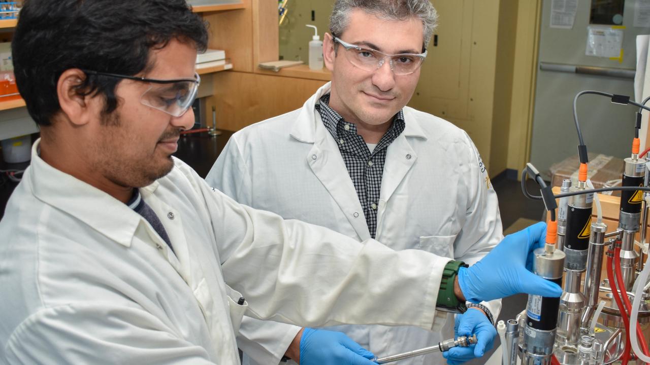 Two scientists in lab