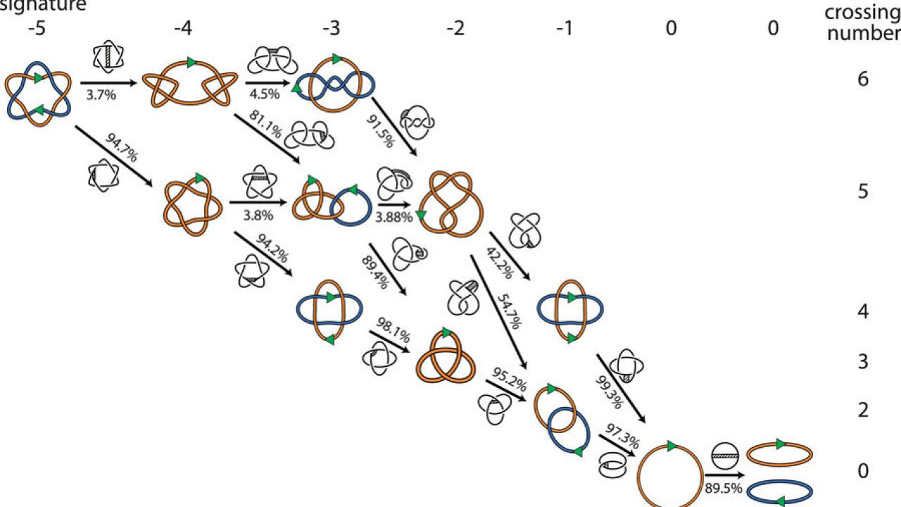 Unlinking DNA