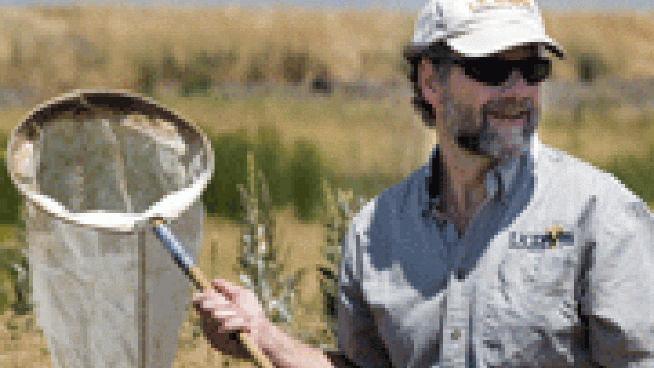 west nile