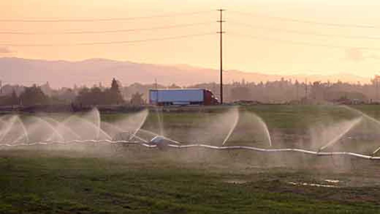Sprinklers watering agricultural land with a truck in the background