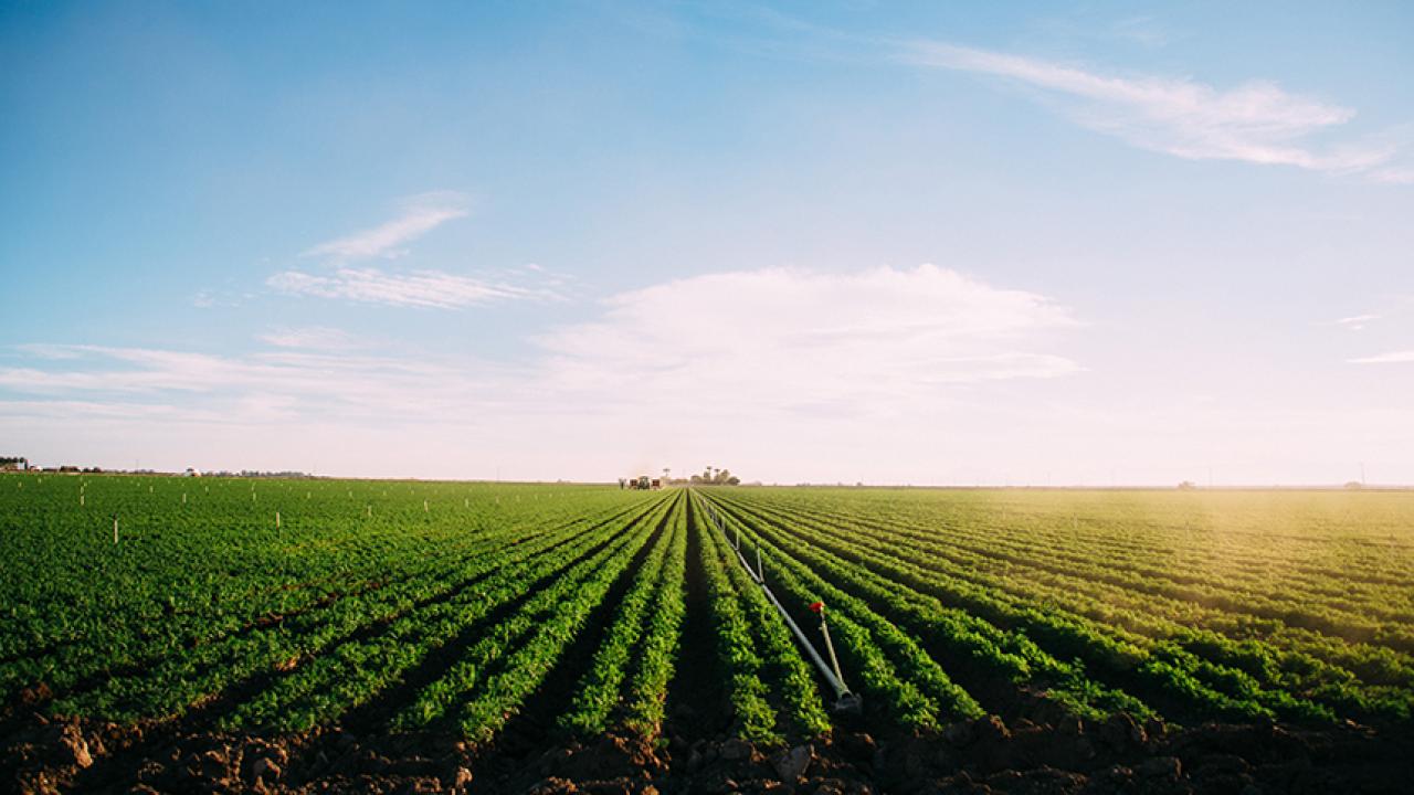 photo of farm field