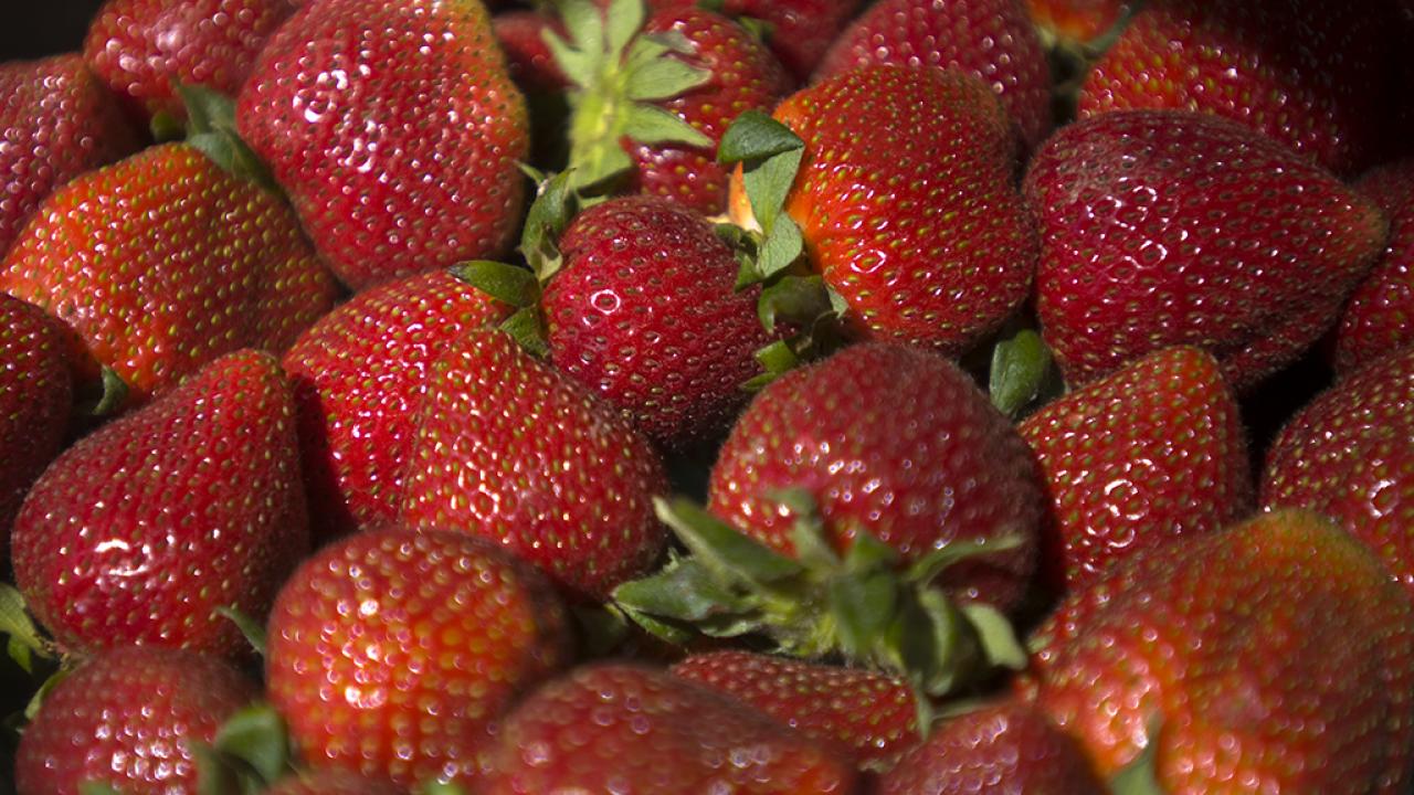 Strawberries