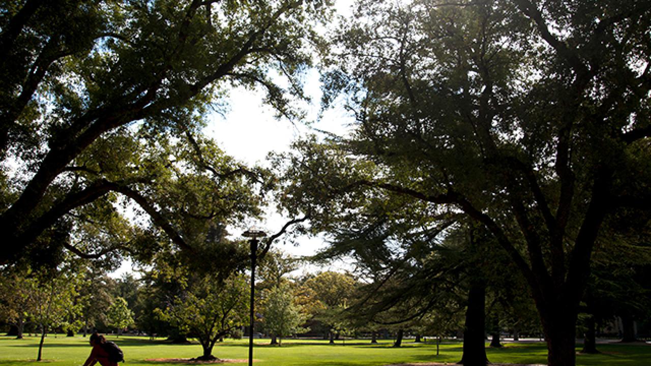 The July morning sun breaks through the clouds over the UC Davis Quad as a bike rider passes by.