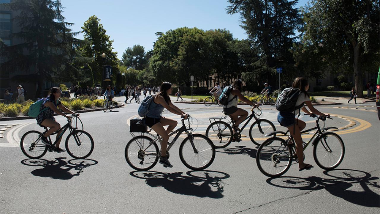 Students bike around a campus traffic circle