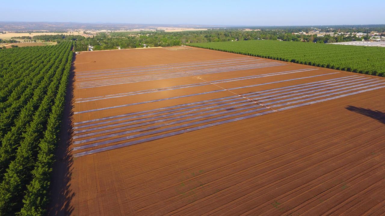 farm field with plastic coverings