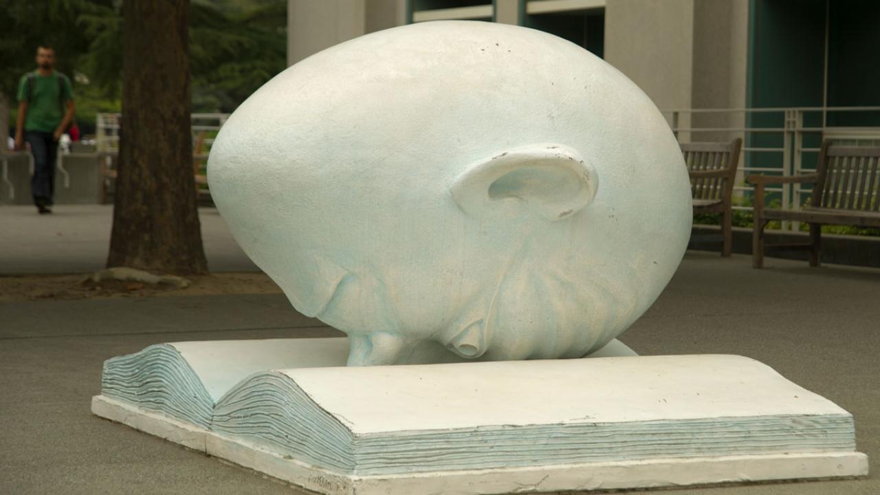 "Bookhead" Egghead sculpture, nose in book