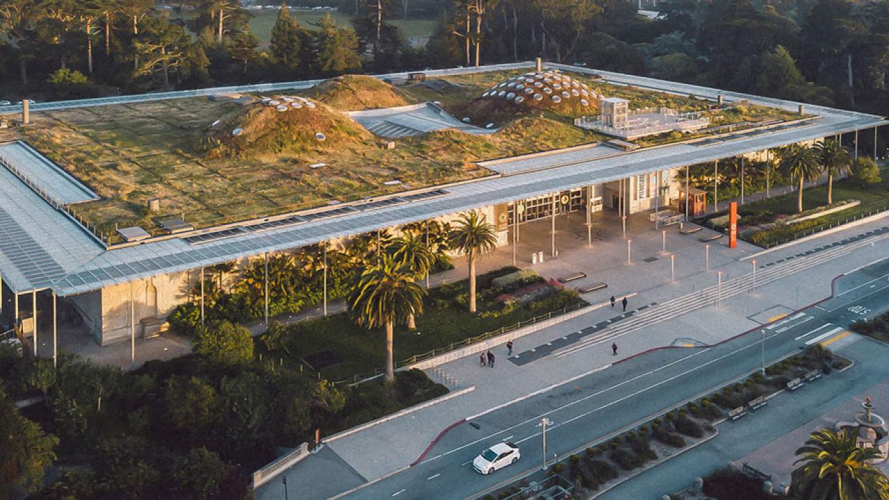 Building with natural-terrain roof