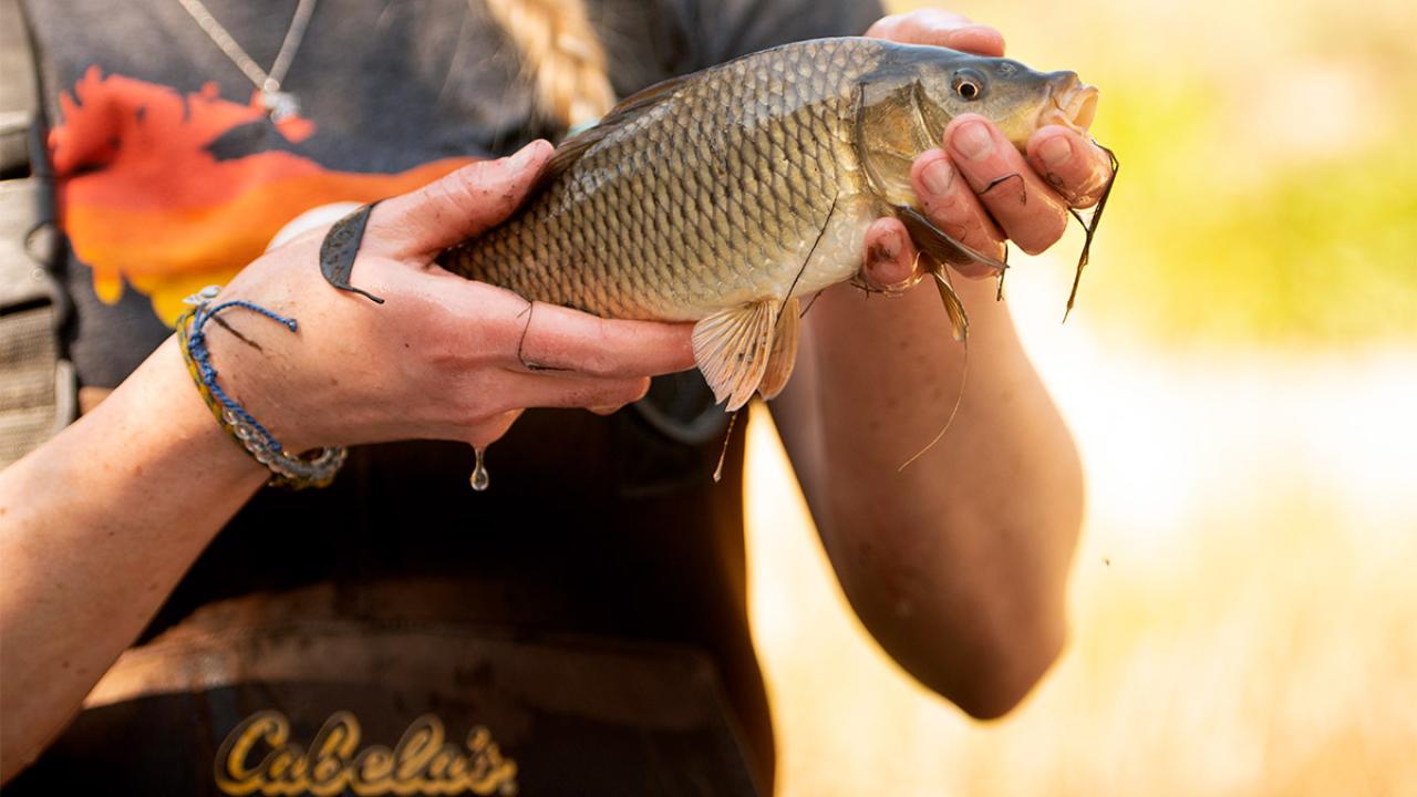 Woman holding carp.