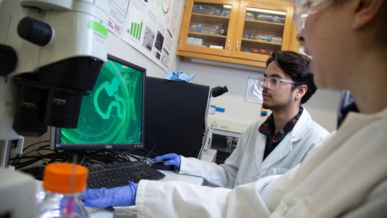 Students in biology lab