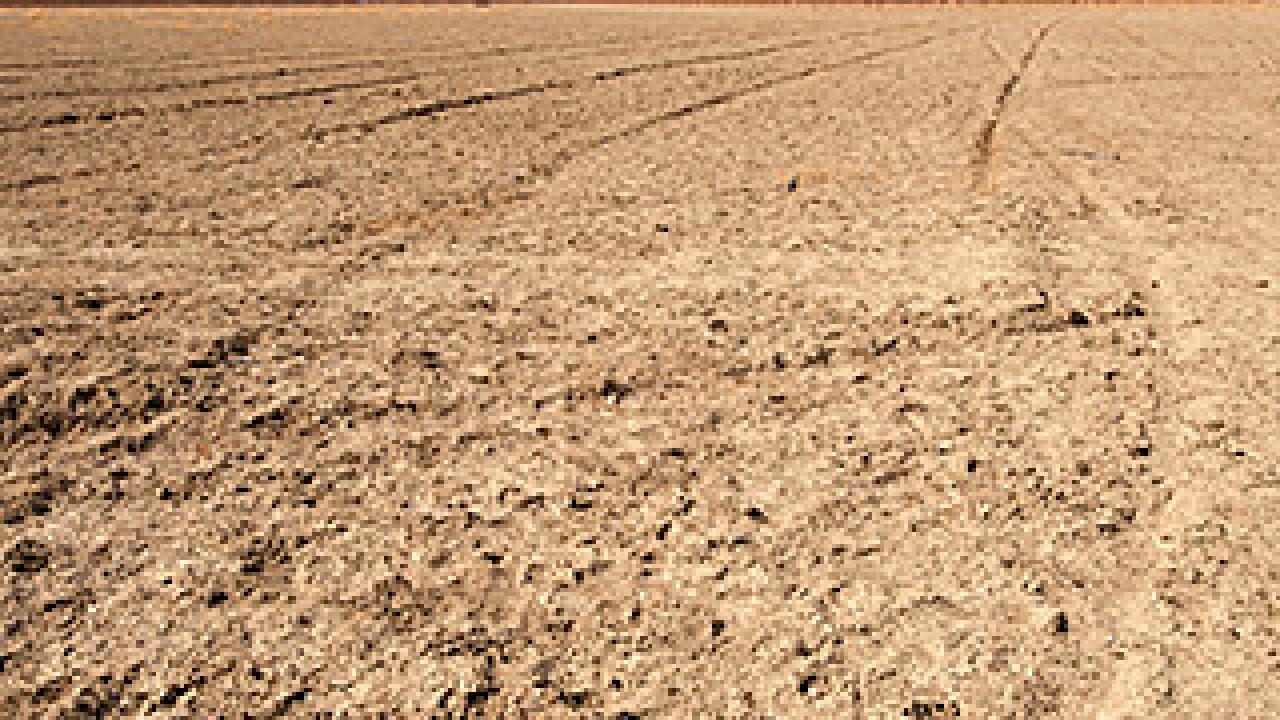 Dry field land stretching to the dry coastal mountains