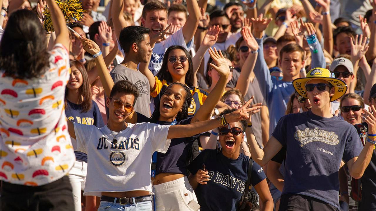 Fans cheer at a football game.