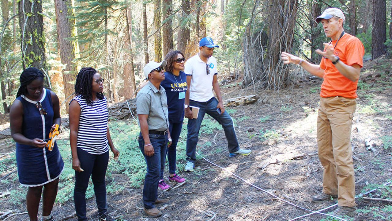 Fellows getting instruction about carbon measurement in a Tahoe Lake forest.