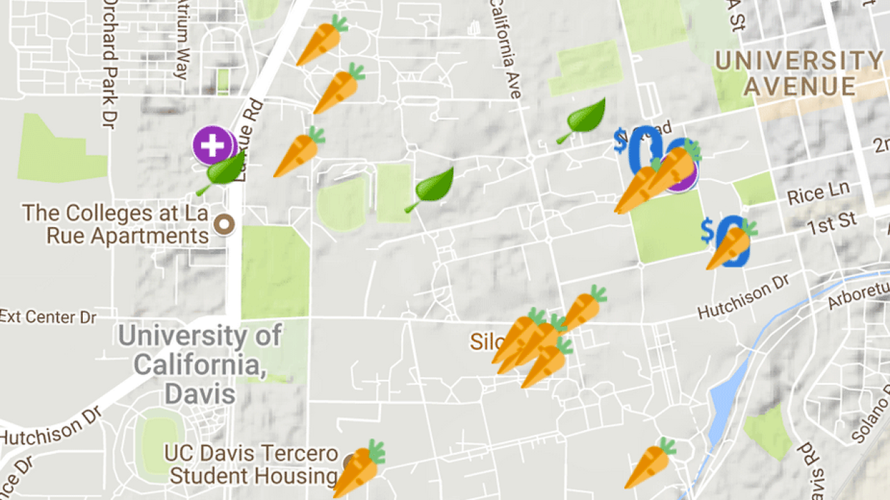 Screenshot of Food Access Map