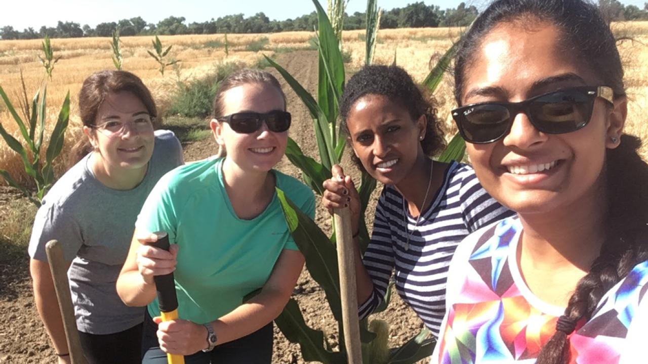 Four people with shovels in field