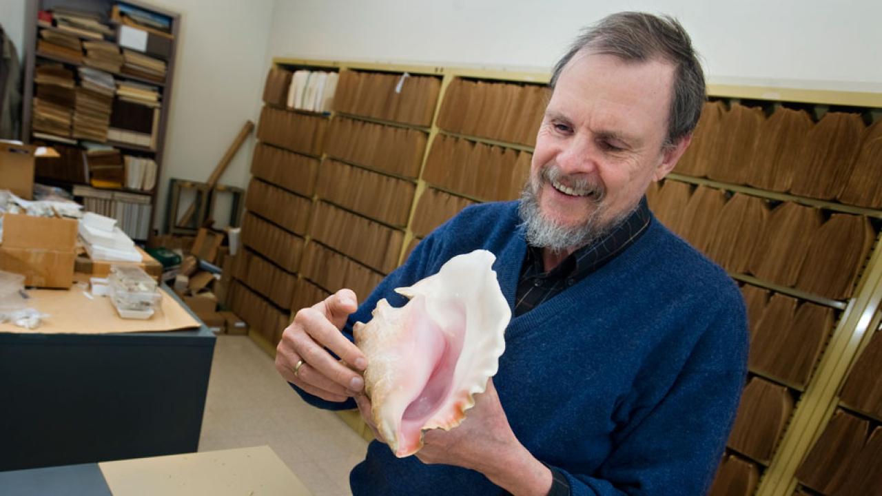 Photo: Gerrat Vermeij examines shell.