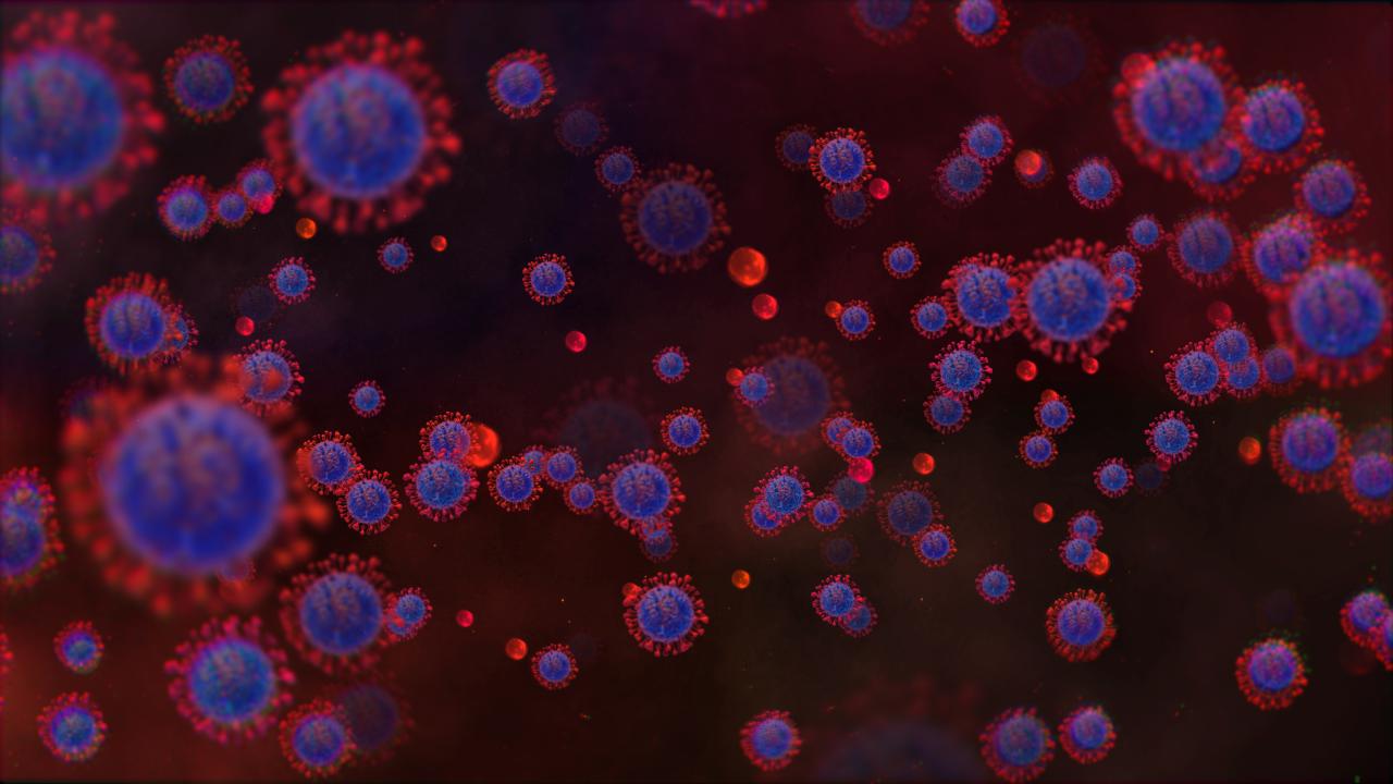Viruses