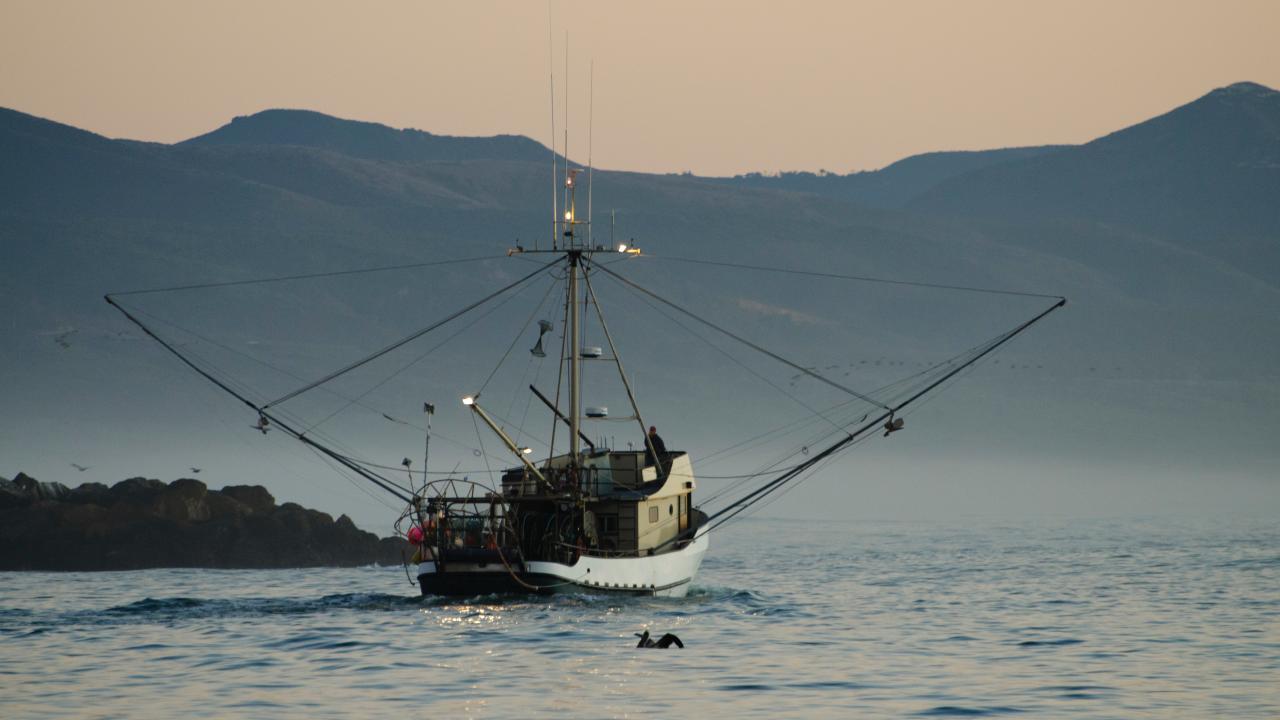 fishing boat