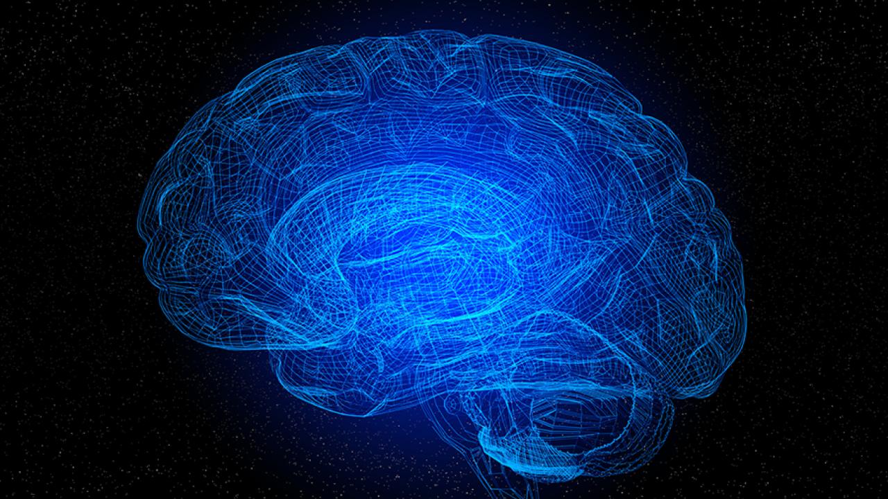 Brain images