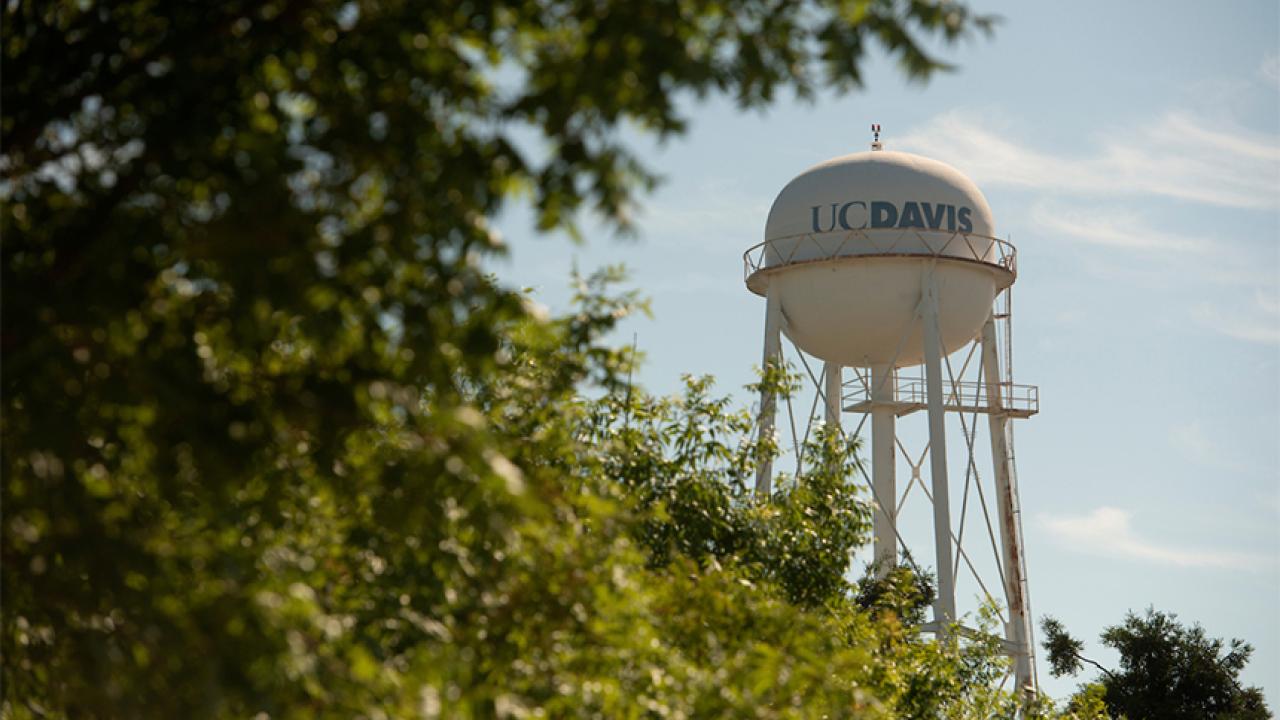 A view of the water tower through greenery